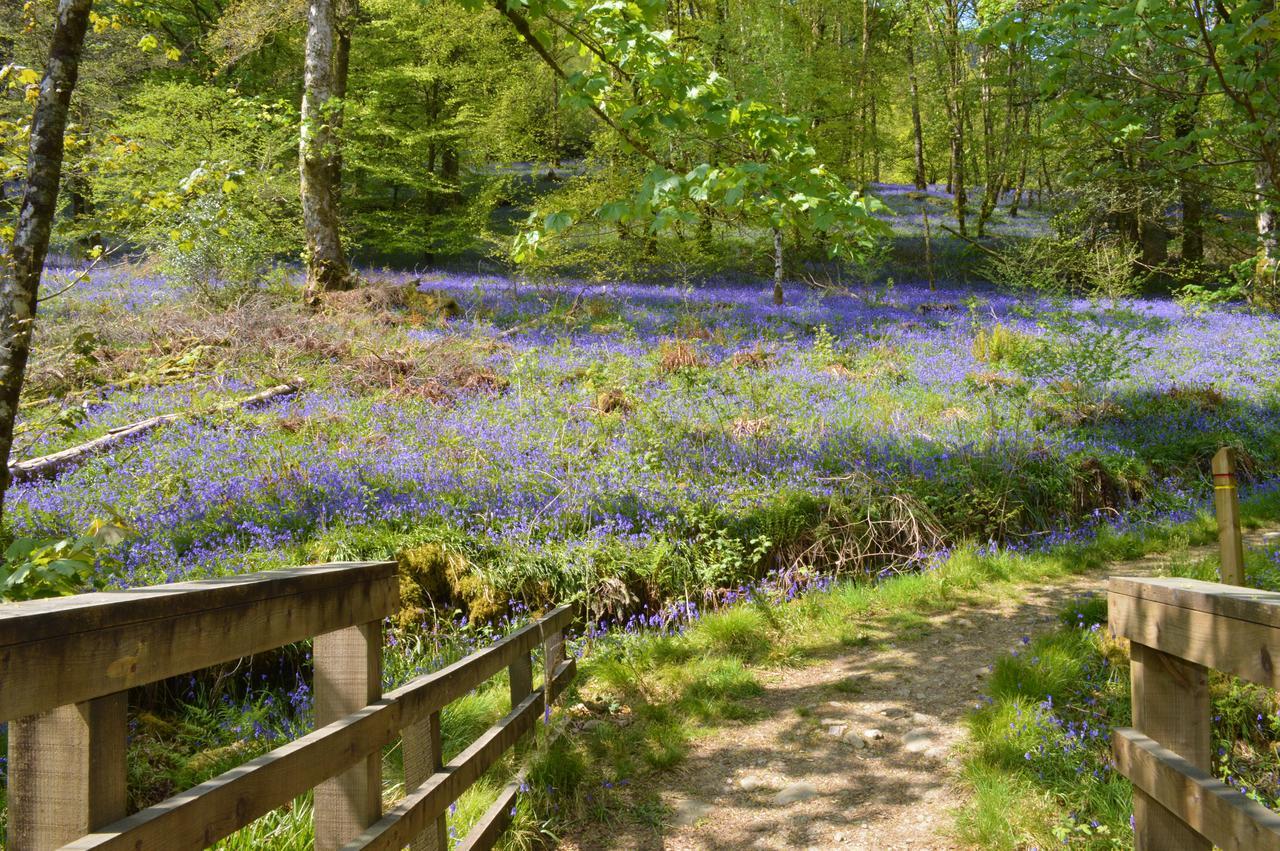 Glenbranter Strachur